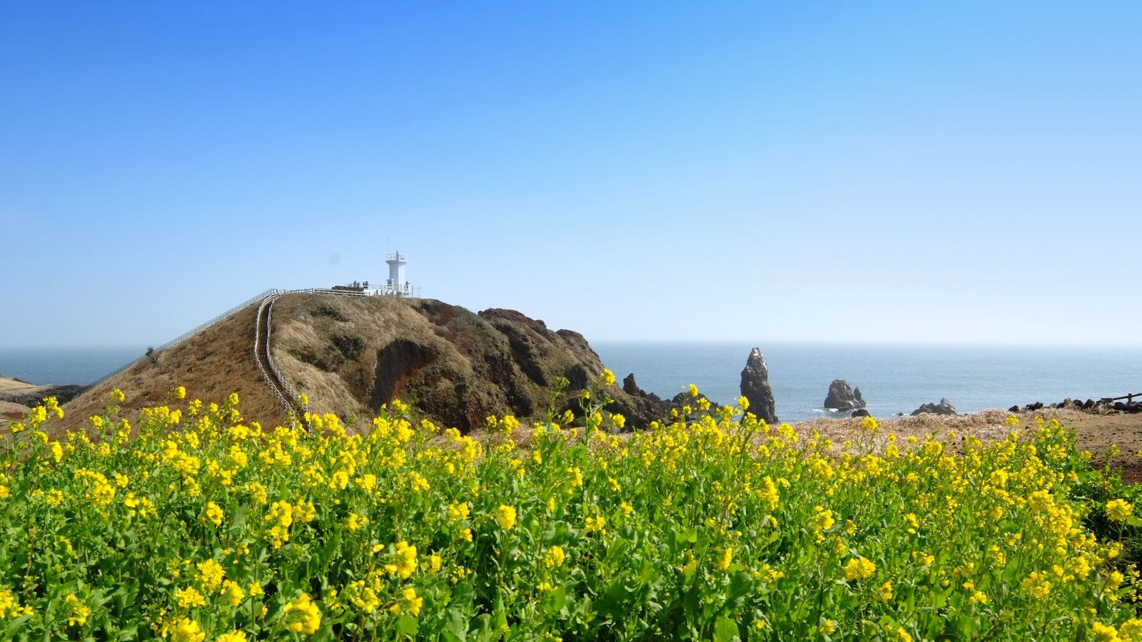 韓國必去城市-濟州島