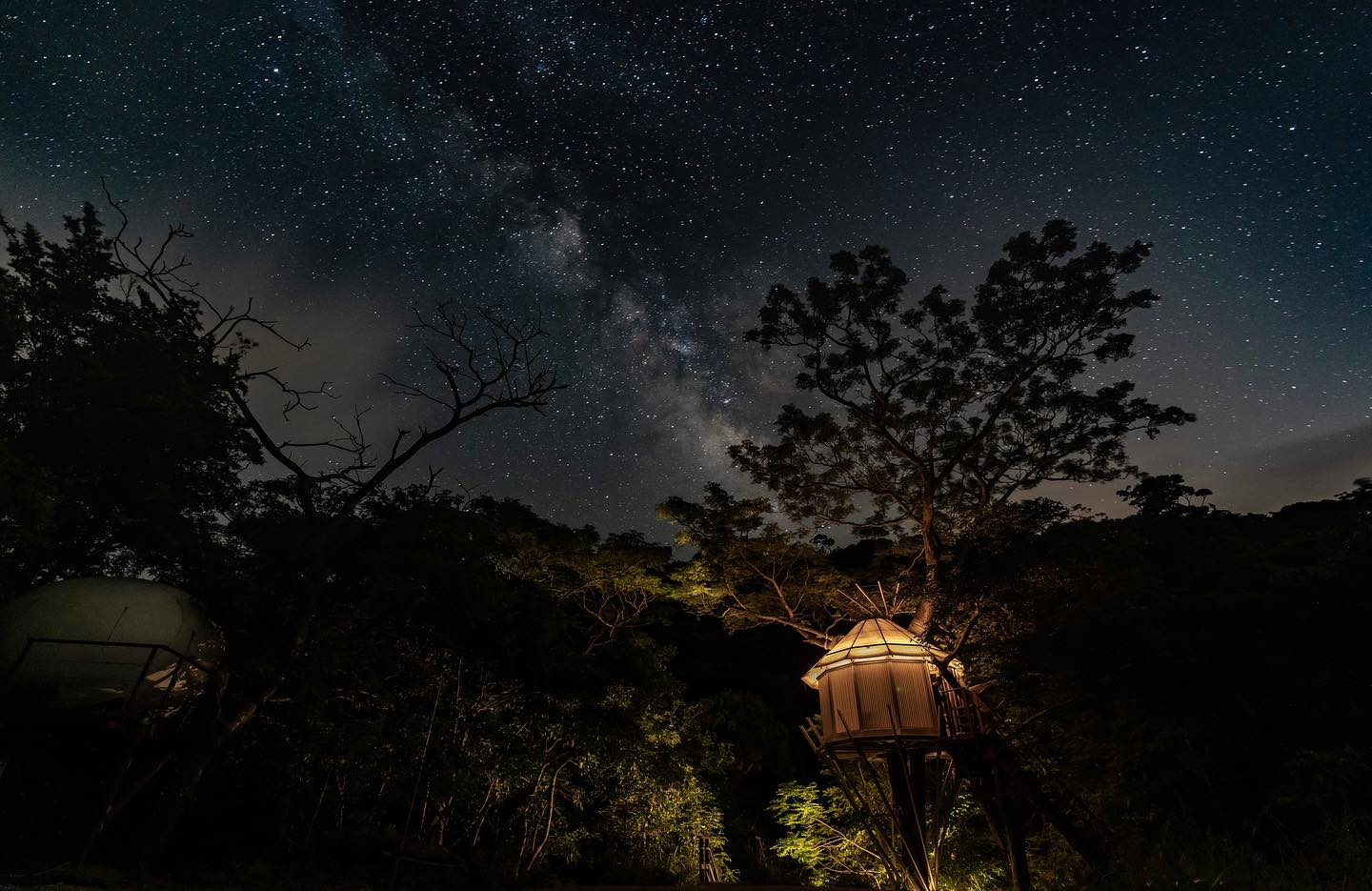 日本隱藏版秘境:360度叢林美景樹屋度假村 日本隱藏版秘境:360度叢林美景樹屋度假村