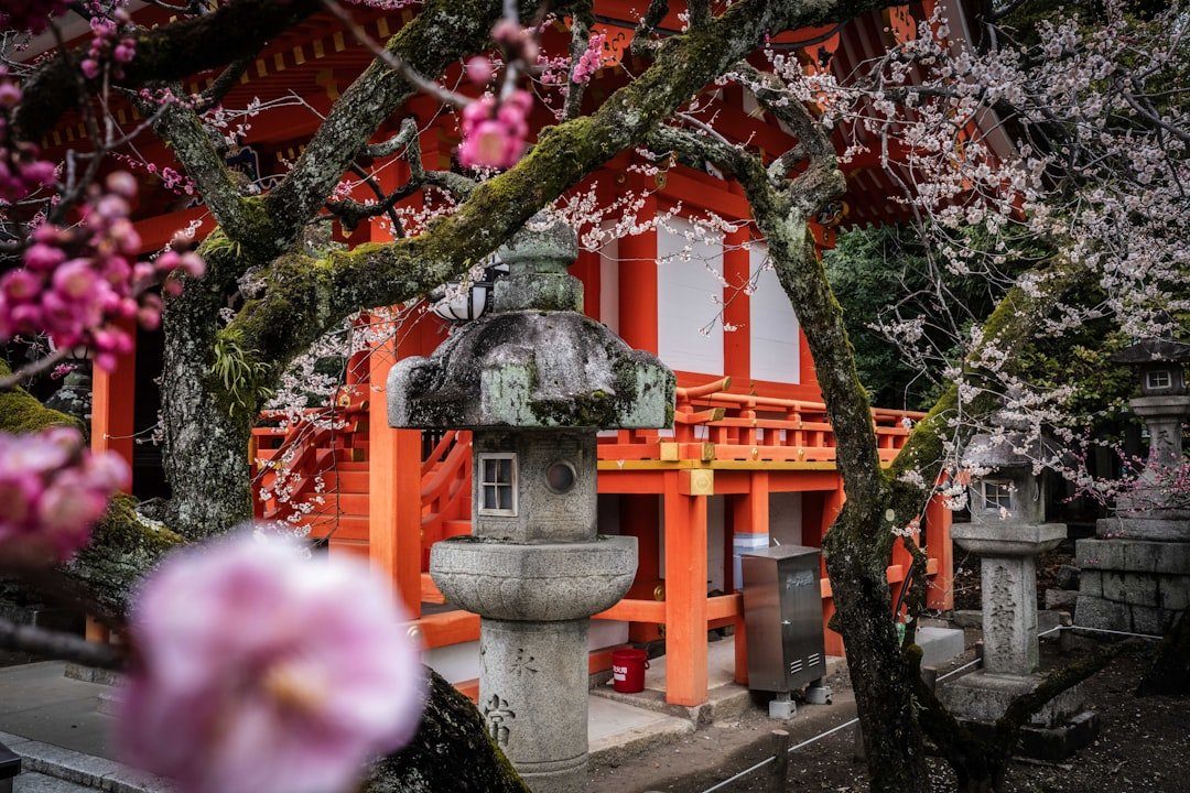 日本賞楓景點推薦 20262026圖片2｜攻略