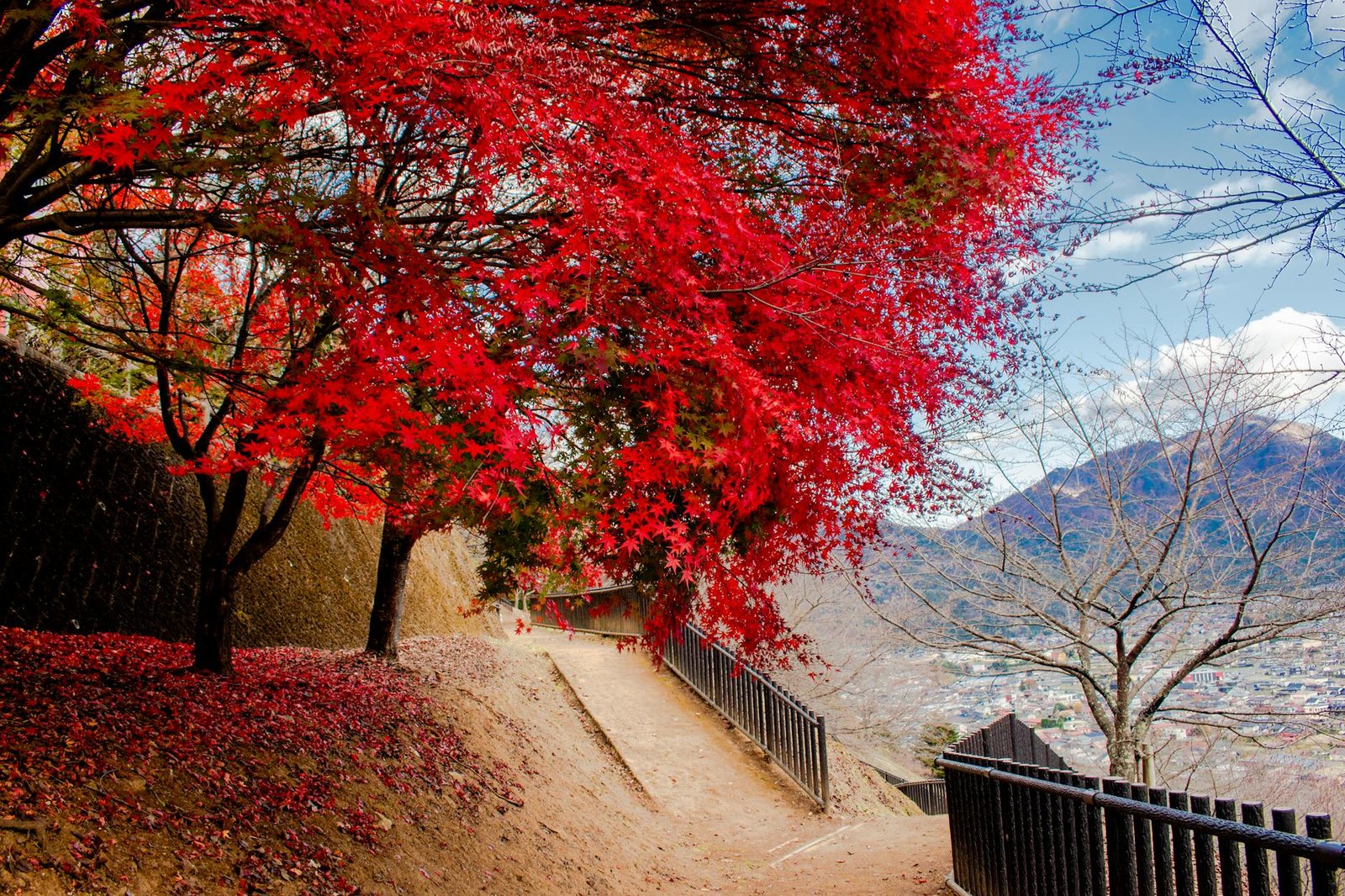 日本紅葉預測 2026 最佳時間2026圖片1｜攻略