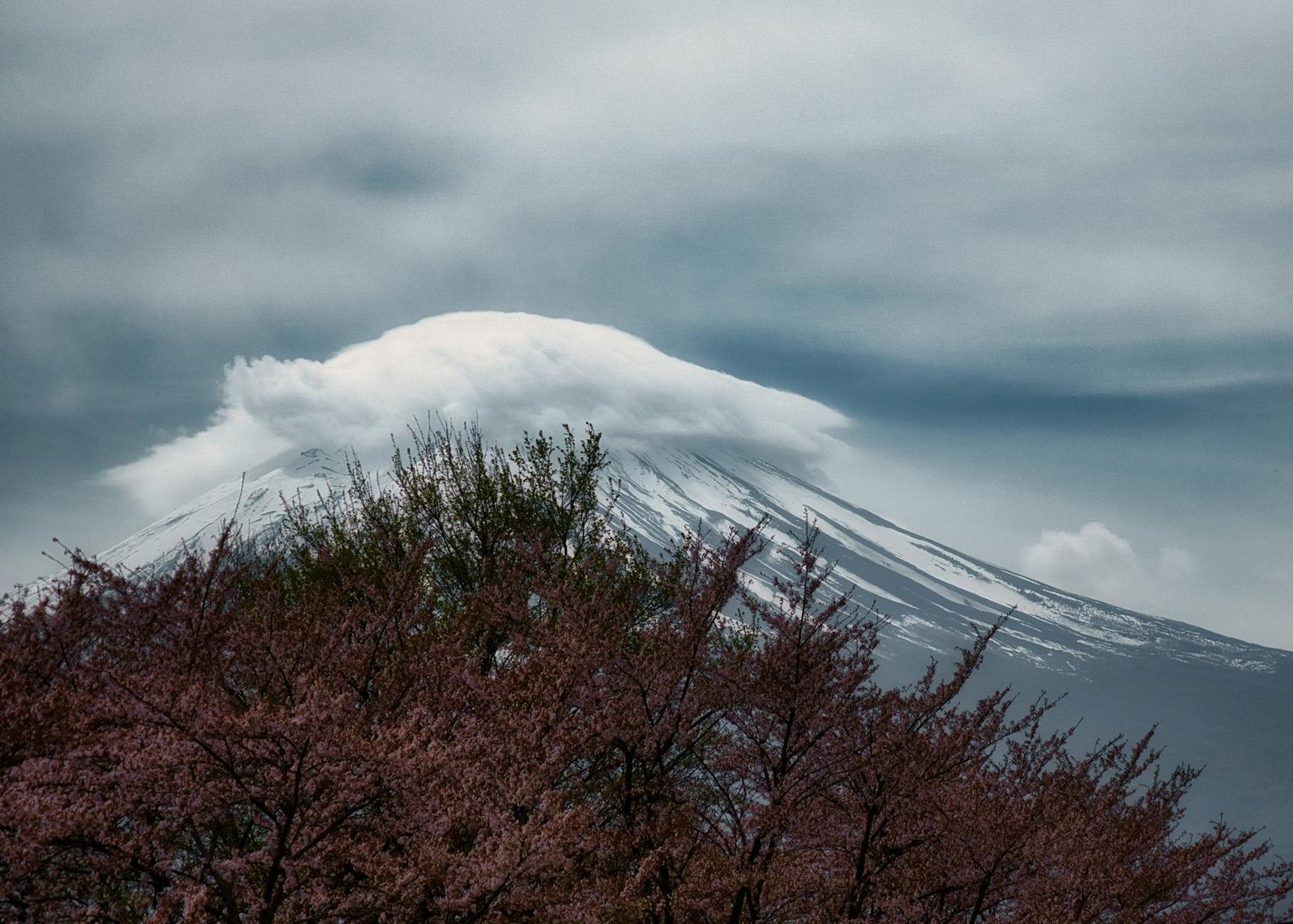 日本二手精品店長期使用心得｜2026耐用度與維修經驗