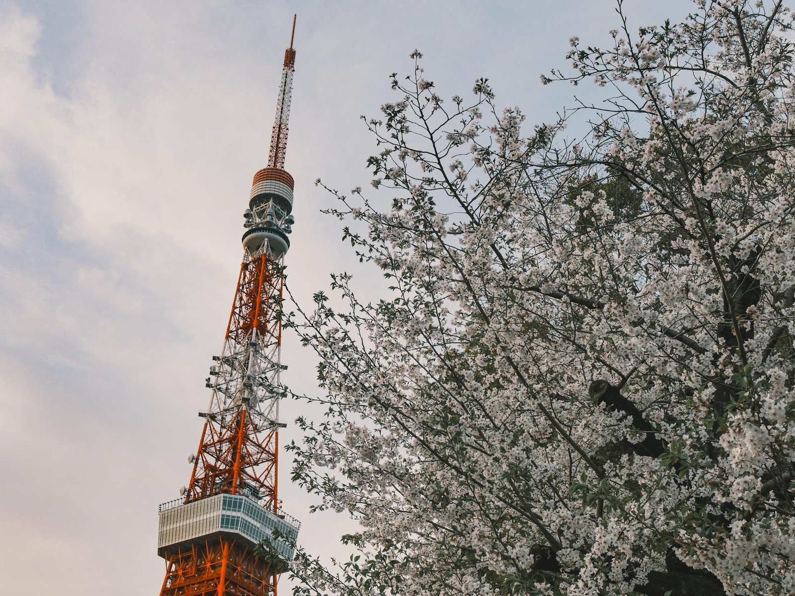 在地人帶你玩日本買什麼便宜價差｜2026避開觀光客的私房路線