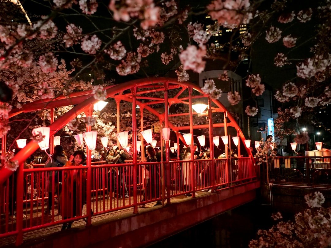 日本賞櫻名所排名 20262026圖片2｜攻略