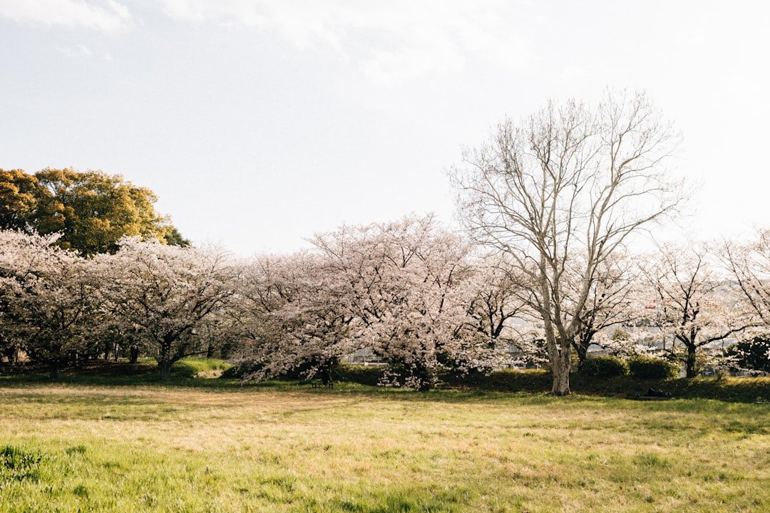 日本止痛藥EVE推薦比較2026圖片2｜攻略