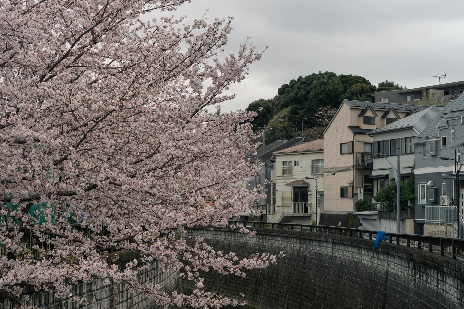 日本信用卡回饋推薦旅遊2026圖片1｜攻略