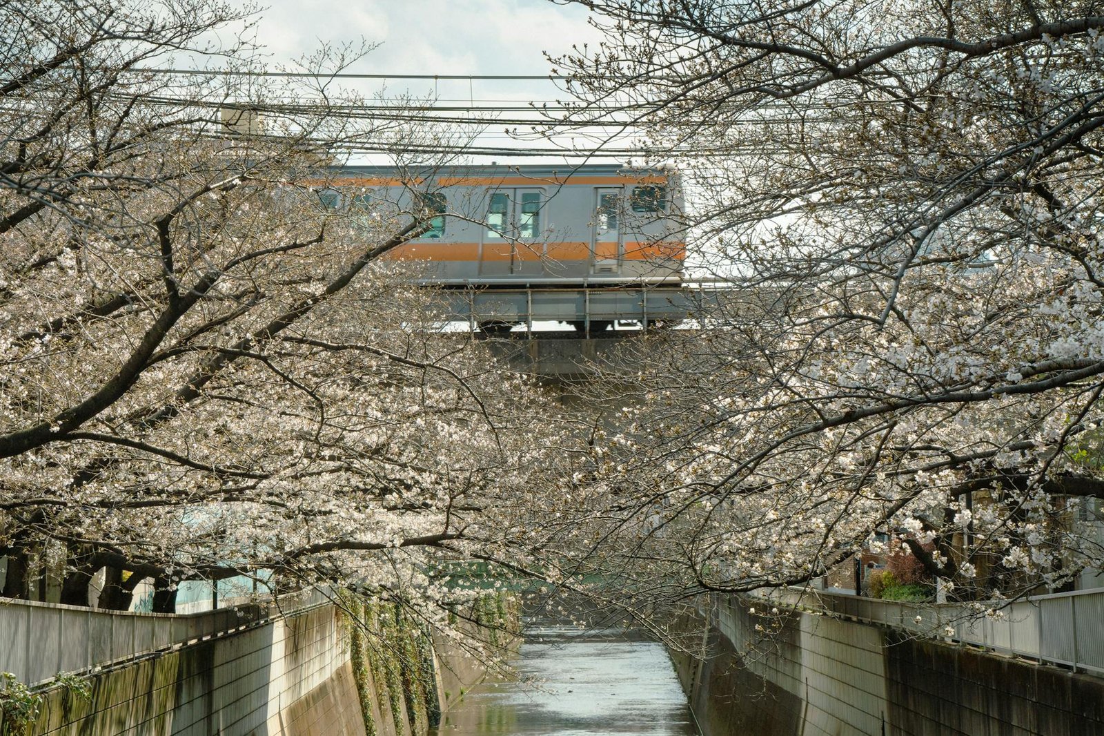 日本東京近郊一日遊推薦2026圖片1｜攻略