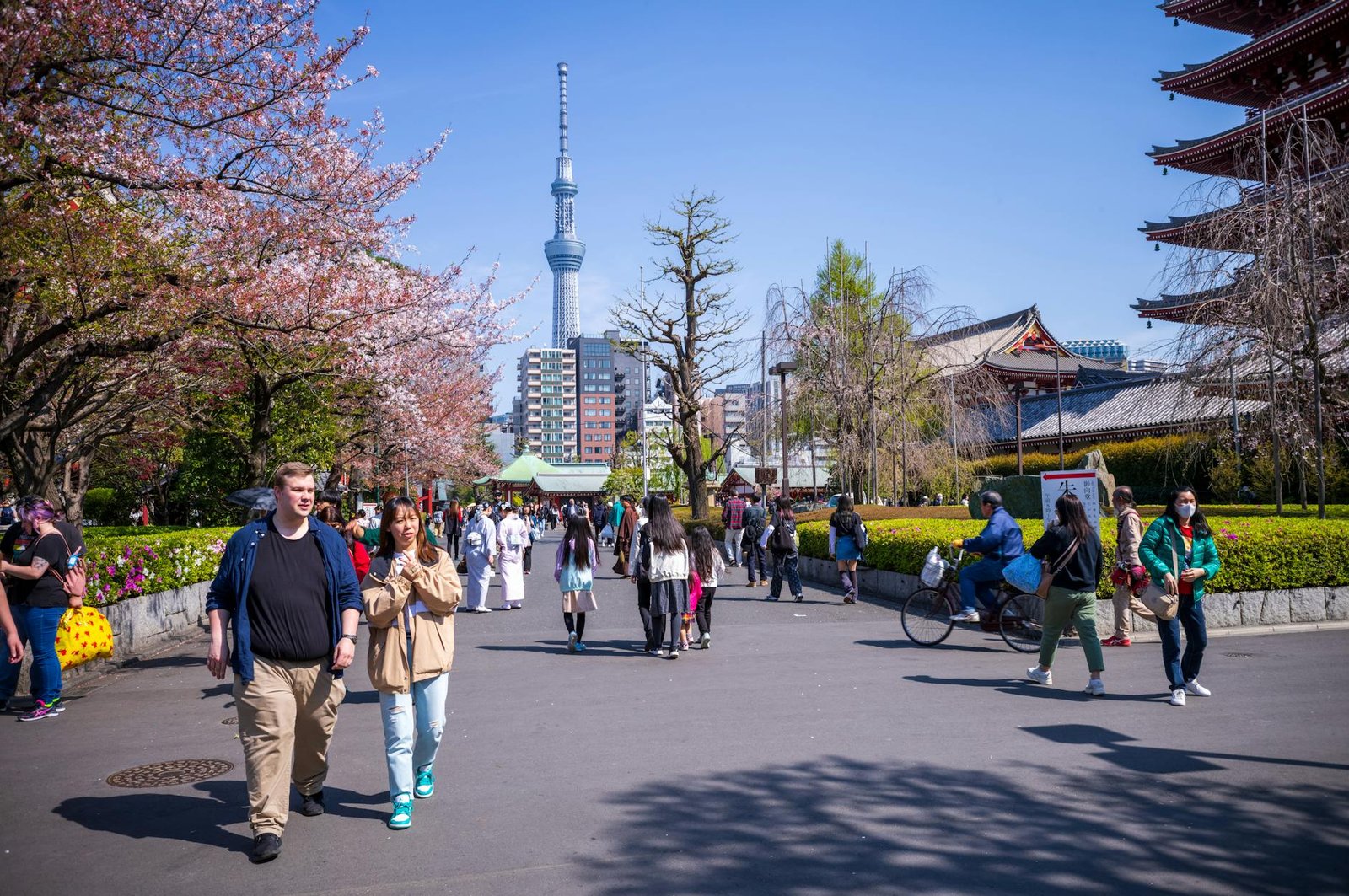 日本眼藥水推薦必買2026圖片1｜攻略