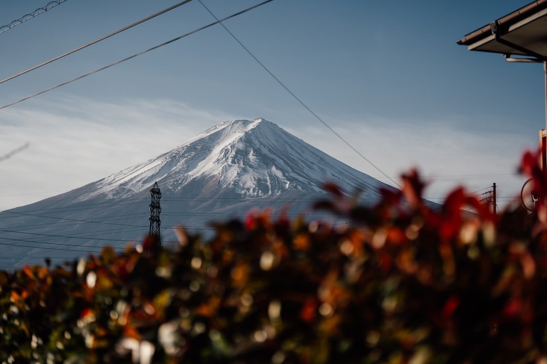 日本teamLab展覽攻略 20262026圖片2｜攻略