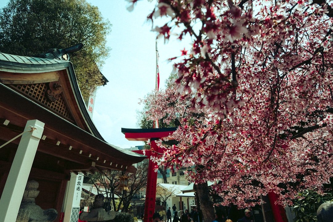 北海道景點推薦 20262026圖片2｜攻略