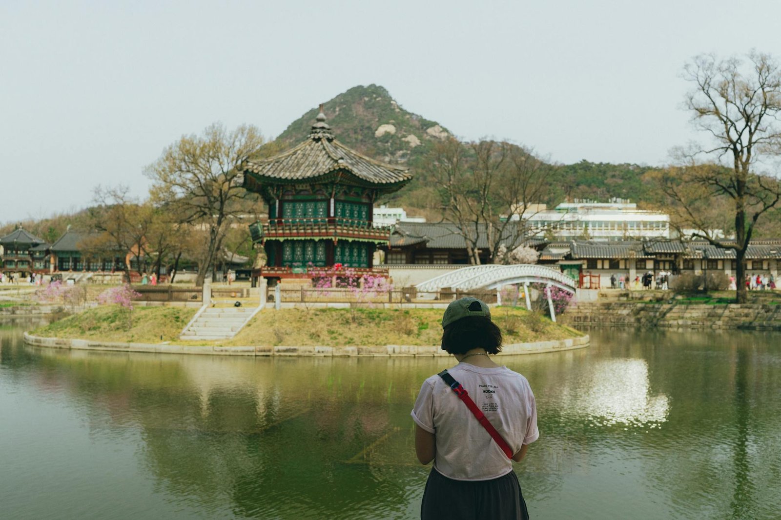 北海道美食推薦 海鮮 螃蟹2026圖片3｜攻略