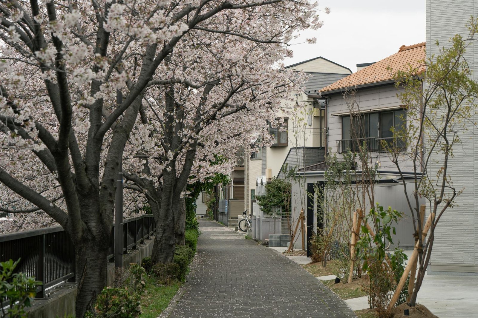 日本Costco必買推薦 20262026圖片1｜攻略