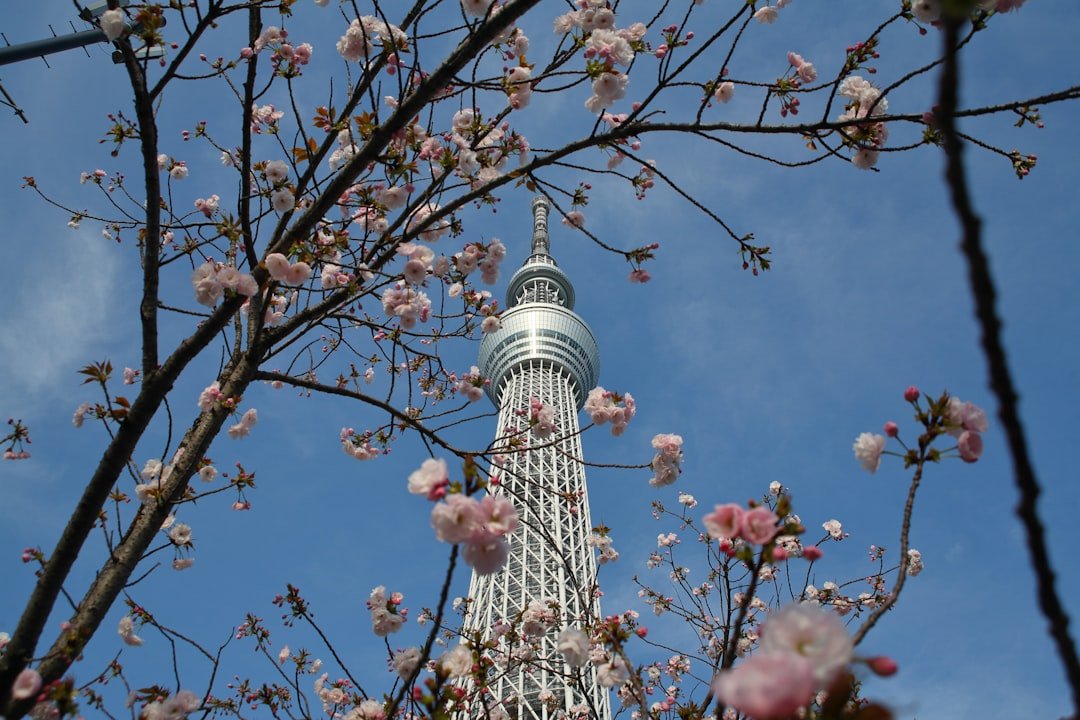 日本Costco必買推薦 20262026圖片2｜攻略