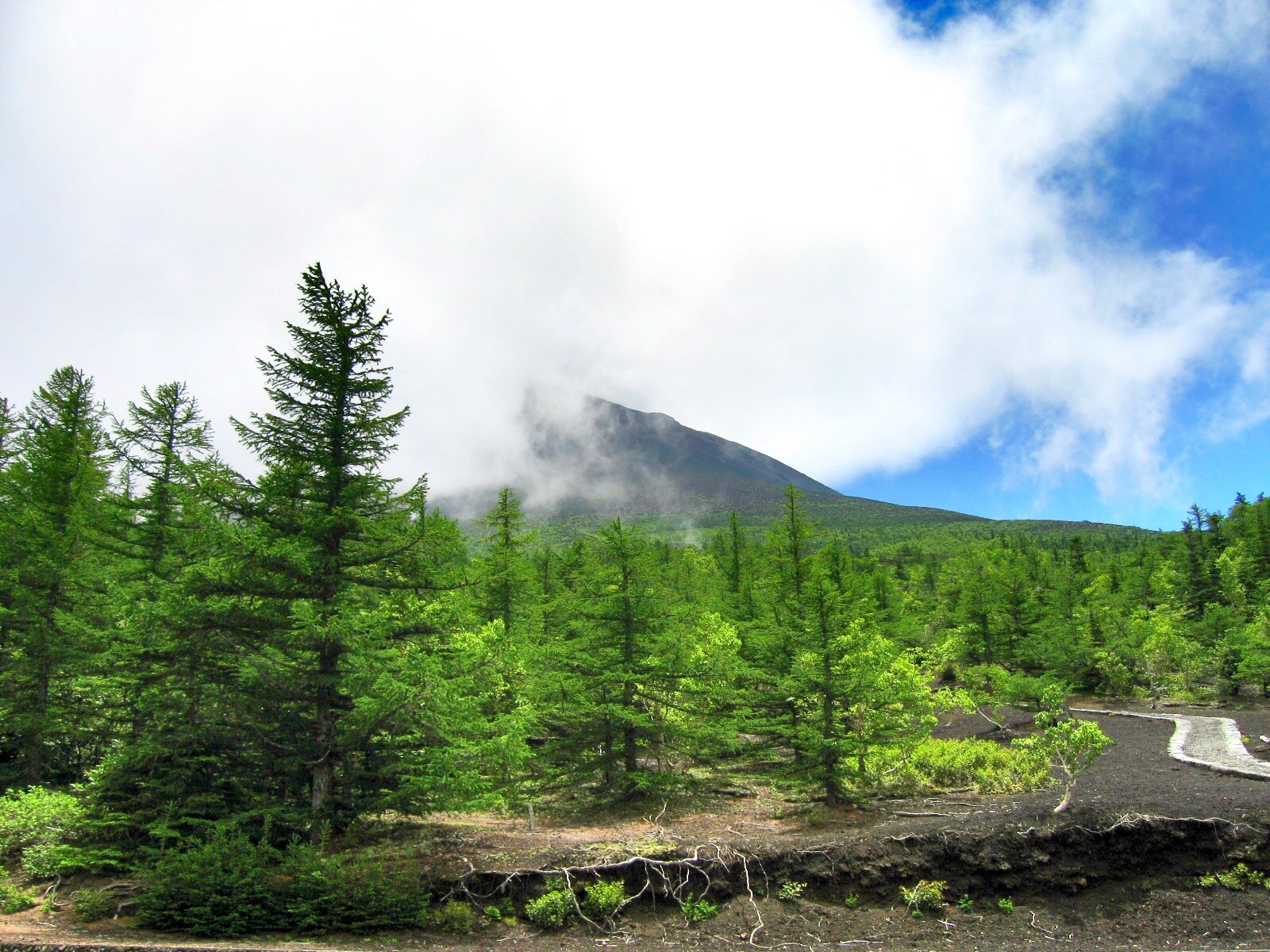 大阪臨空城Outlet怎麼玩才不踩雷？2026行家親授攻略