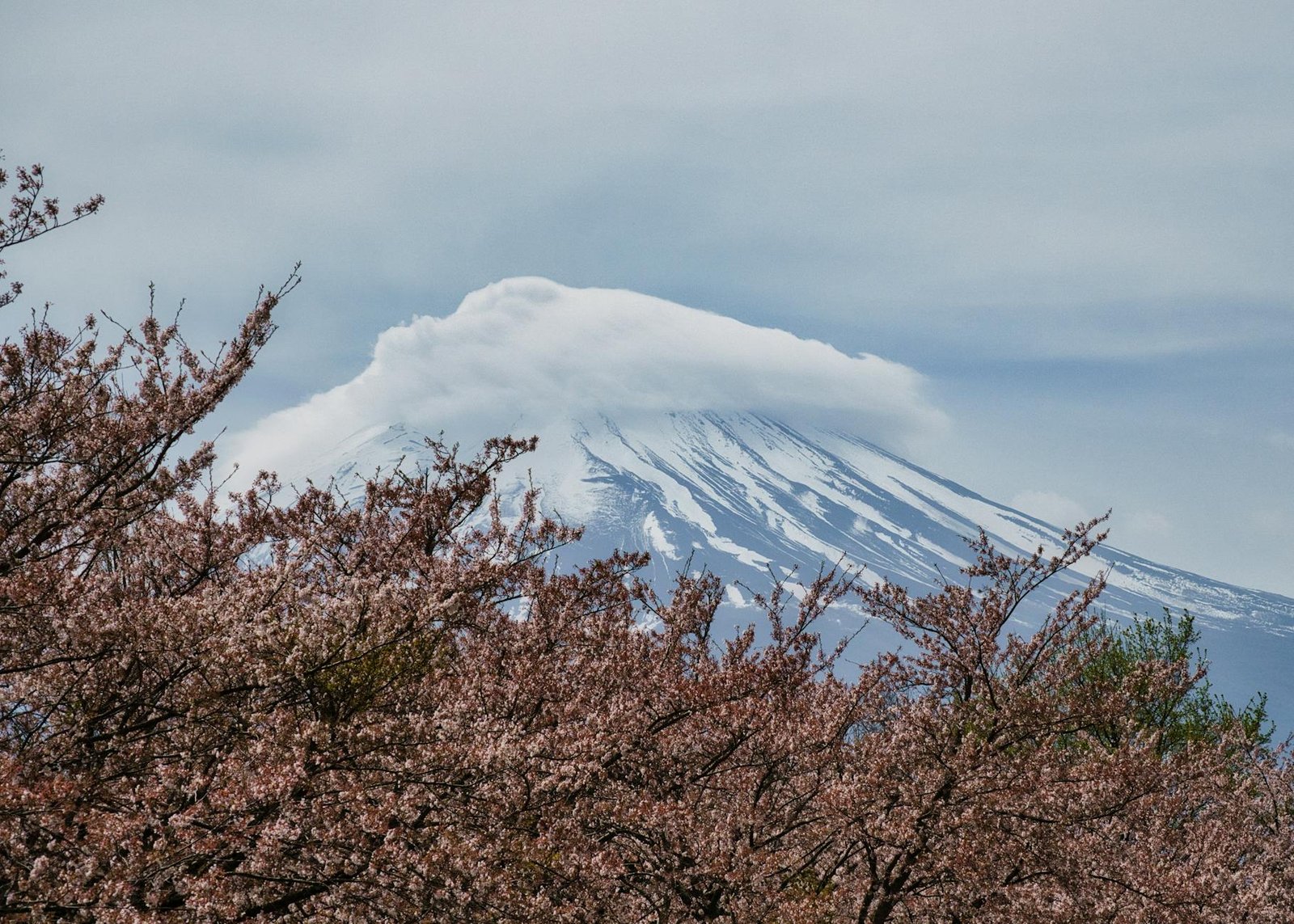 日本旅遊花費一天多少錢2026圖片1｜攻略