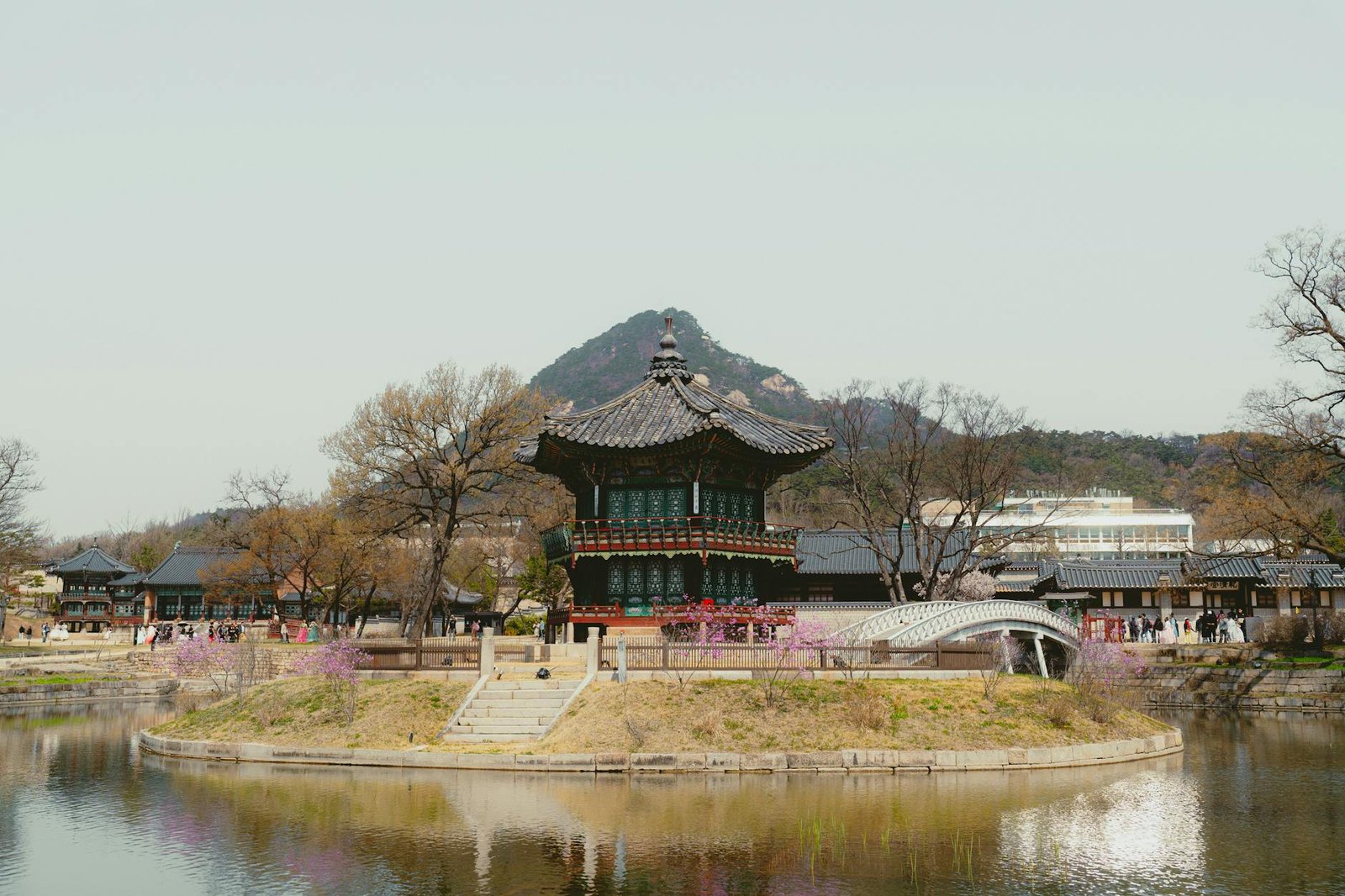 【2026日本滑雪場推薦 2026完整攻略】推薦清單、實用技巧與常見問題全指南