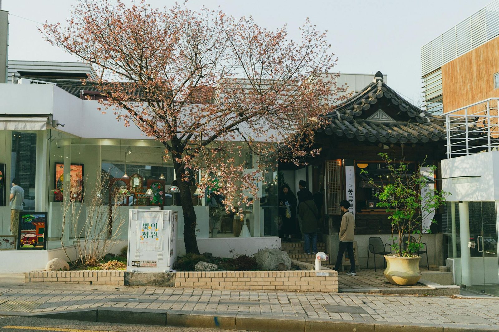 日本零食伴手禮推薦 20262026圖片3｜攻略