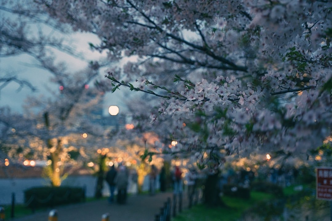 日本球鞋運動鞋哪裡買便宜2026圖片2｜攻略