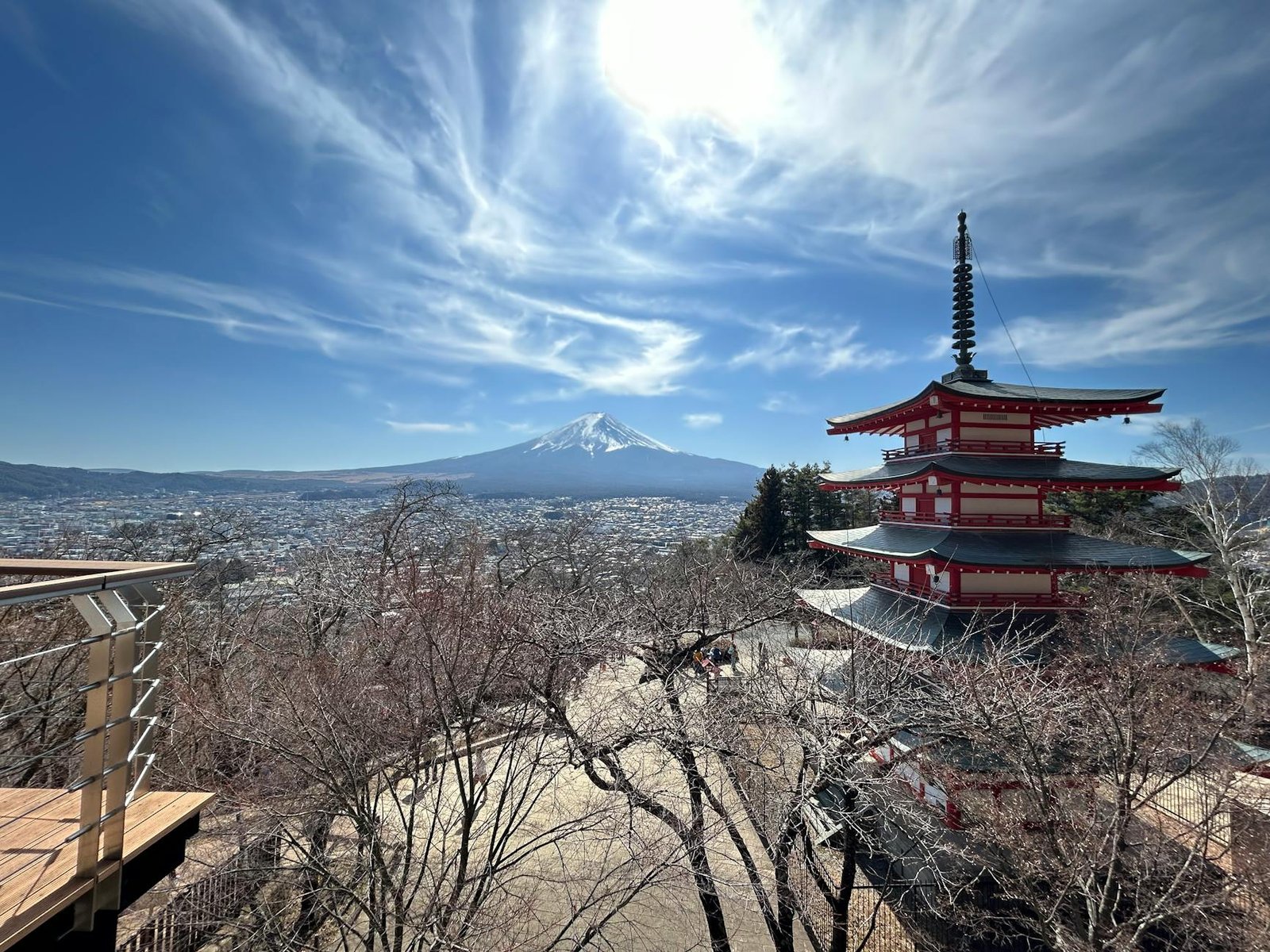 資深玩家評日本保健食品推薦必買｜202610年經驗的真實看法