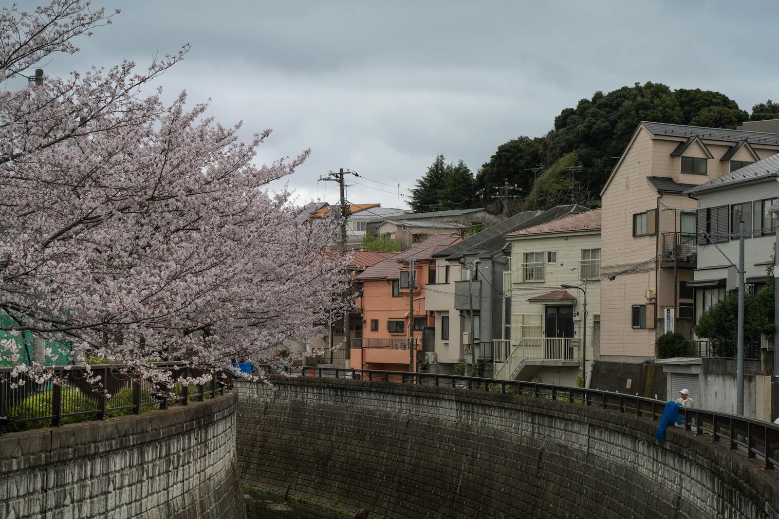 日本保健食品推薦必買2026圖片1｜攻略