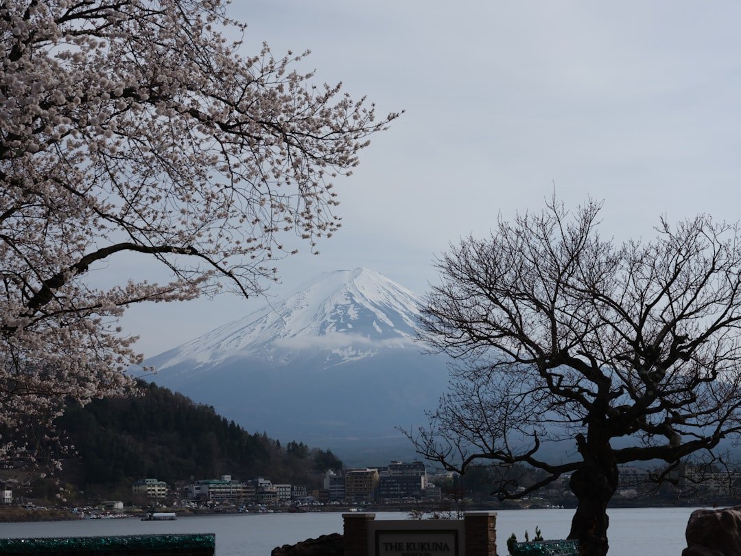 日本壽司推薦 迴轉壽司 20262026圖片2｜攻略