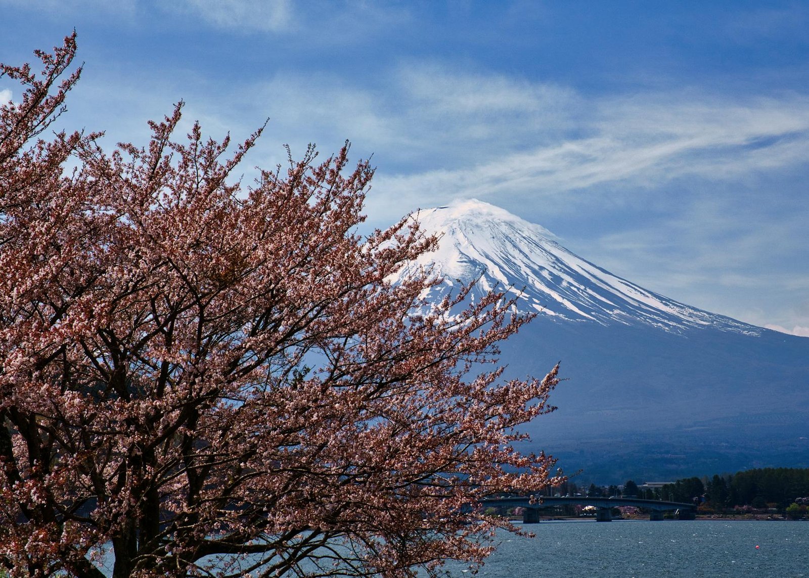 日本嬰幼兒藥品必買使用一個月後的感想｜2026真實開箱筆記