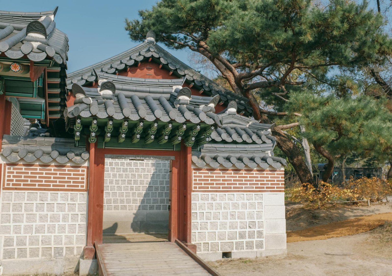 去韓國旅遊必學韓語基礎2026｜點餐購物常用語