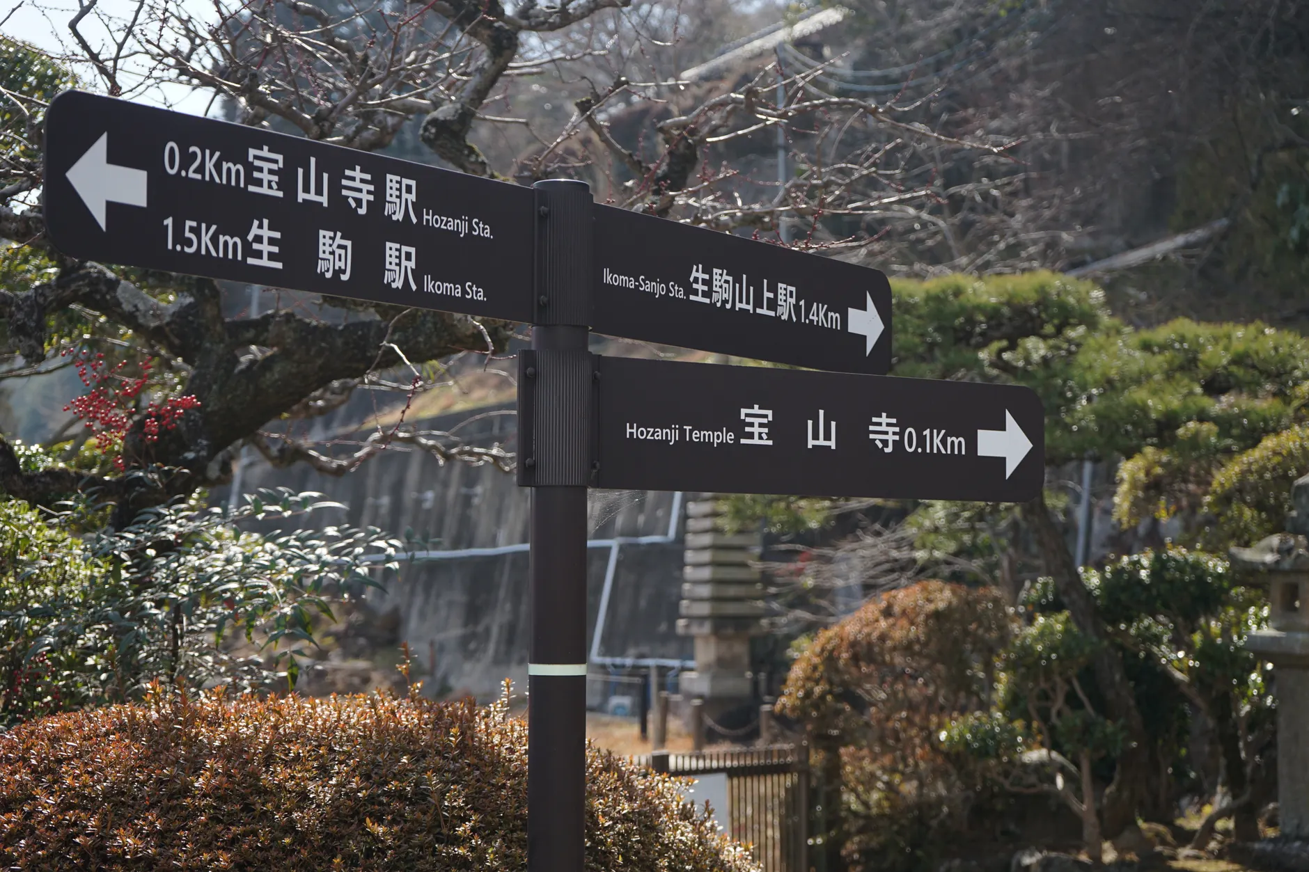 日本自由行適合誰玩?2026族群分眾推薦完整指南 日本自由行適合誰玩?2026族群分眾推薦完整指南