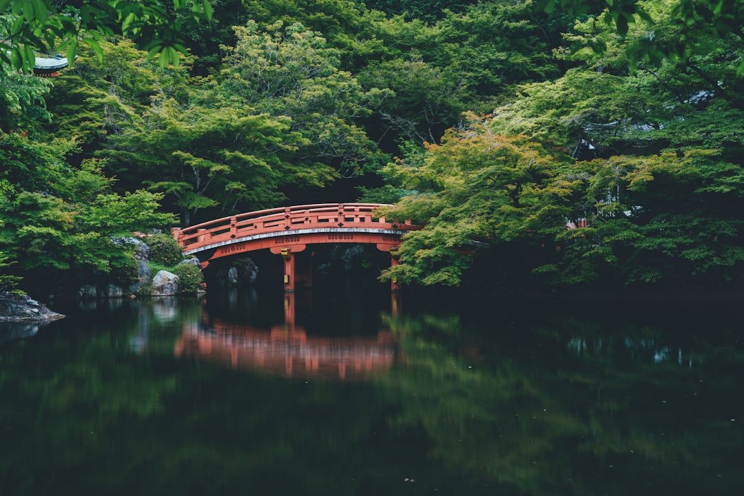 日本蜜月旅行推薦行程2026圖片2｜攻略