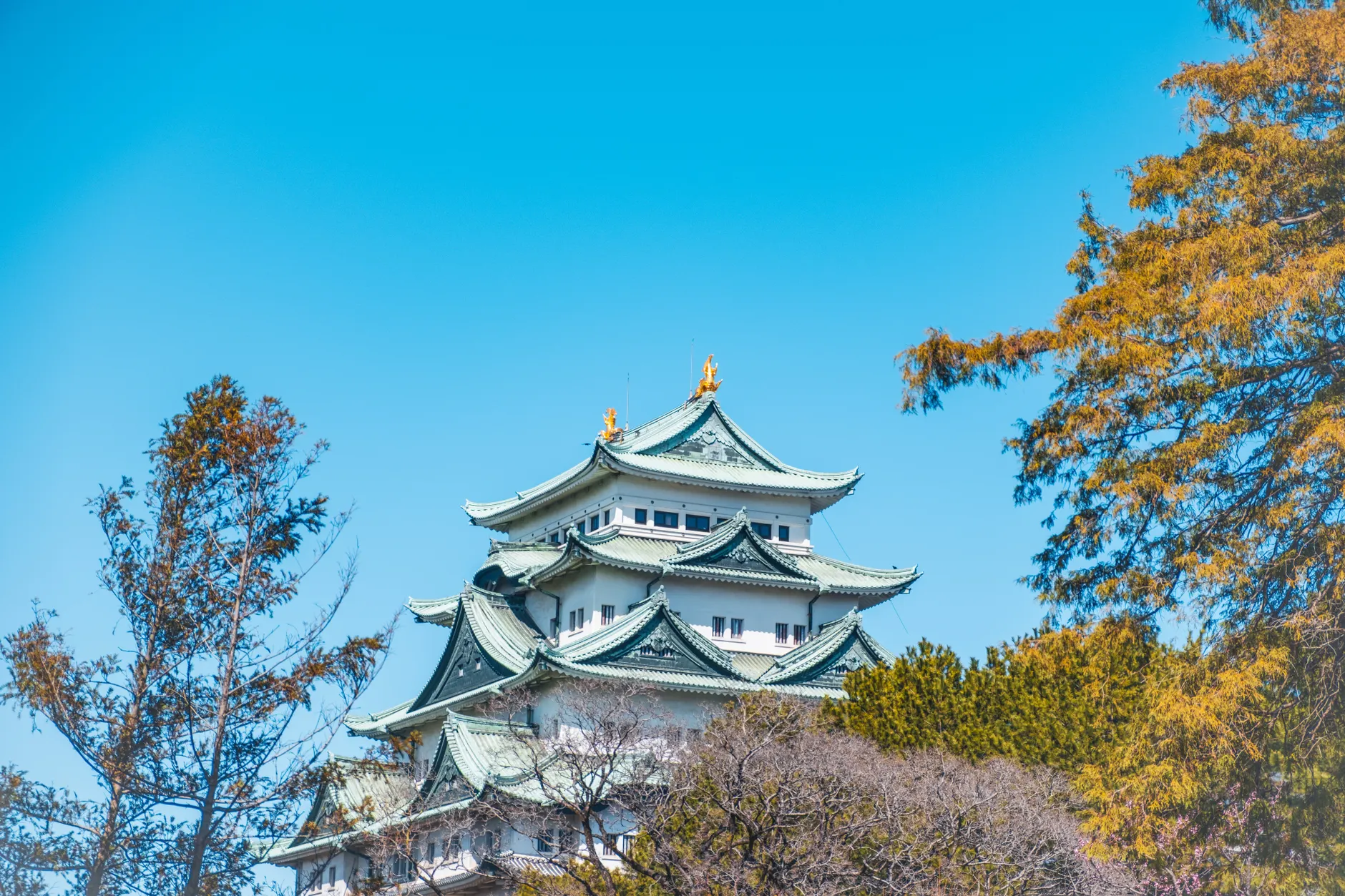 【一篇搞定】名古屋景點2026｜行前準備到回國全紀錄