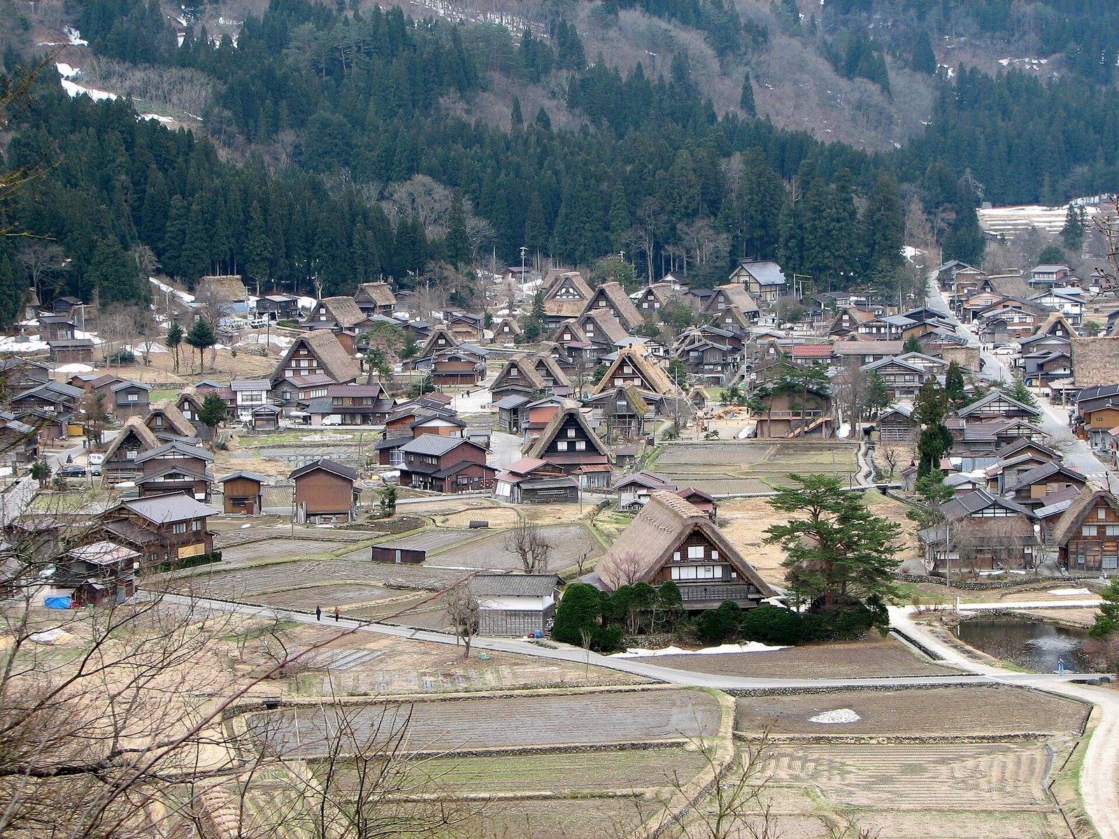 白川鄉合掌村旅遊5天4夜行程懶人包｜2026最熱門路線整理