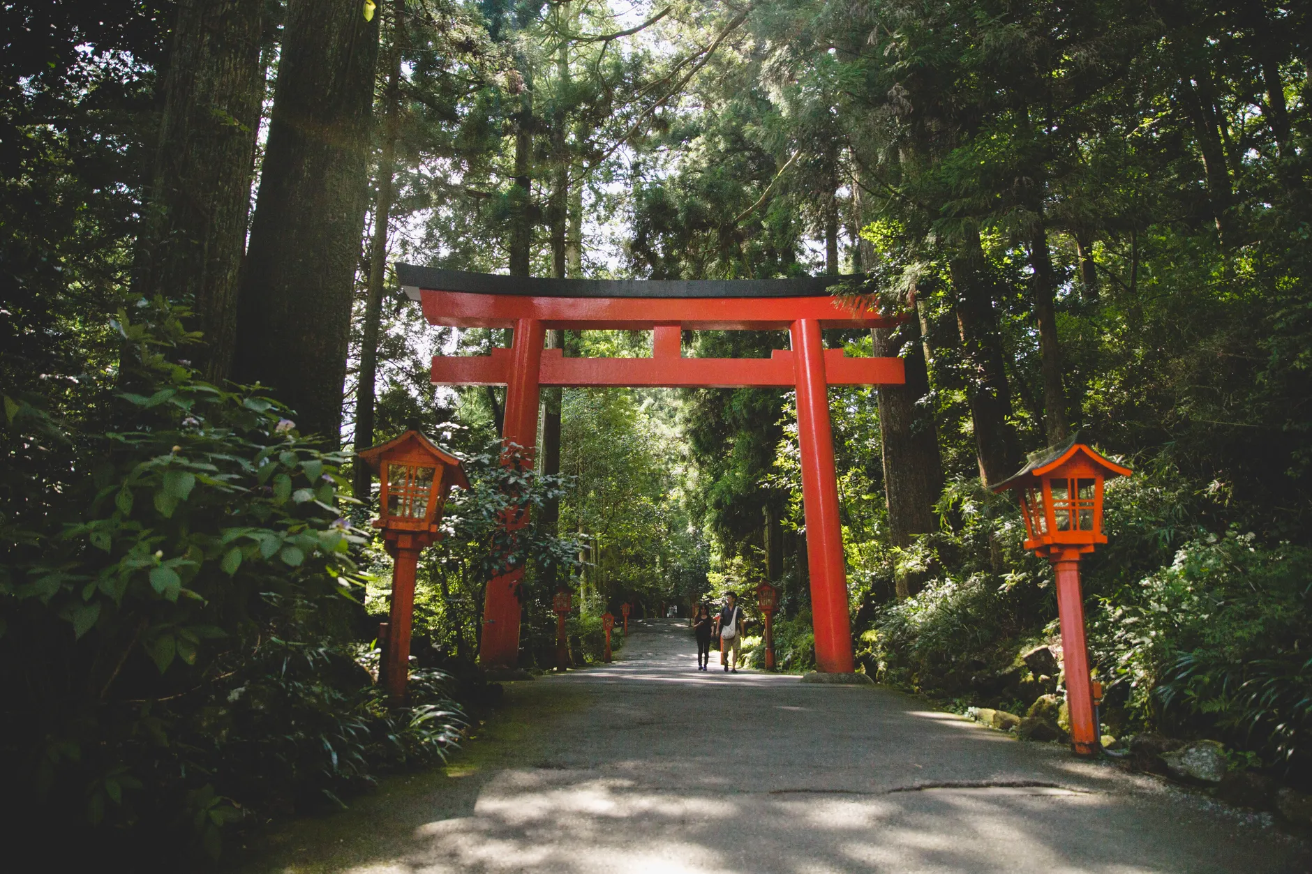 為什麼大家都推薦VisitJapanWeb教學？2026最詳盡開箱解析
