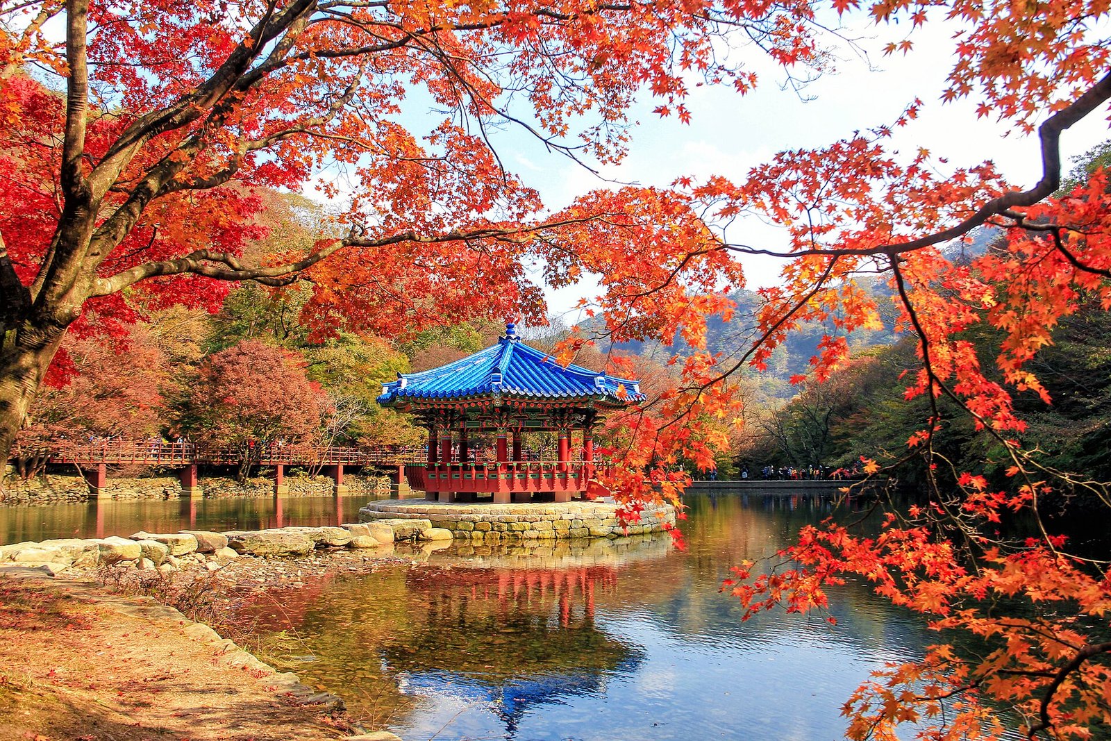 韓國紅葉旅遊2026｜首爾釜山濟州最佳時間景點