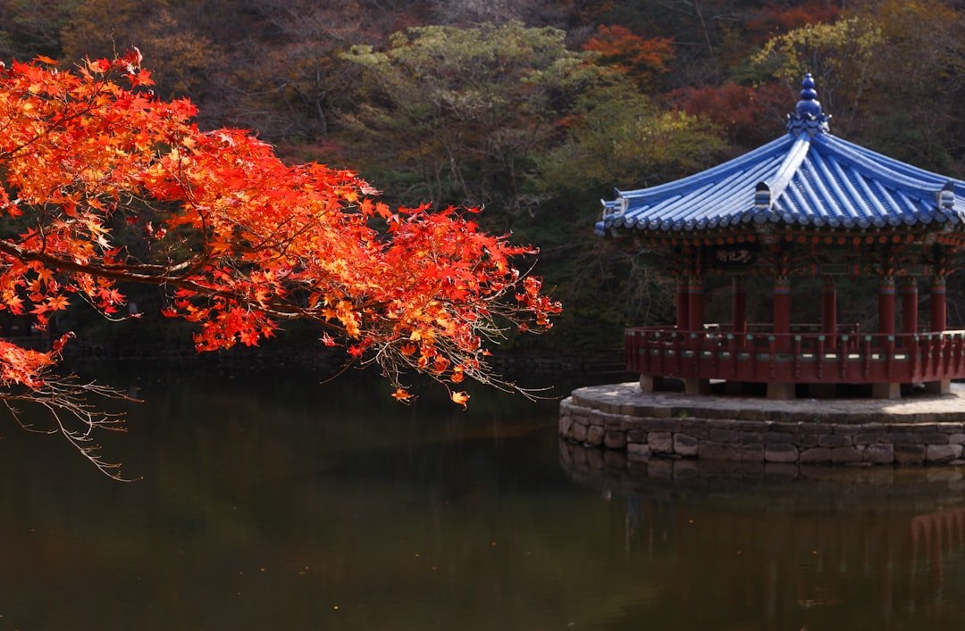韓國紅葉旅遊 20262026圖片2｜攻略