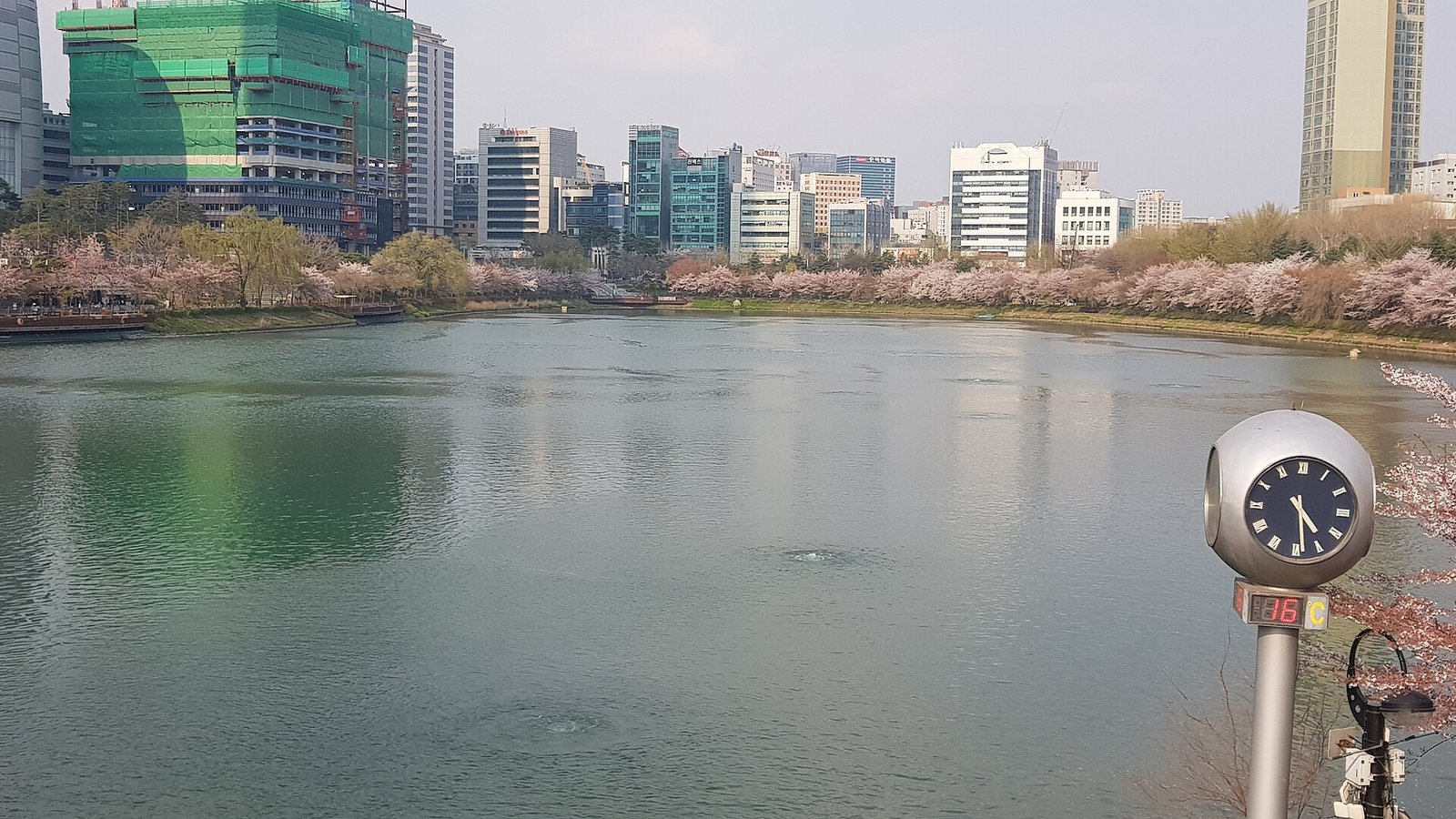 首爾石村湖賞櫻攻略2026|樂天世界旁夢幻花景 首爾石村湖賞櫻攻略2026|樂天世界旁夢幻花景