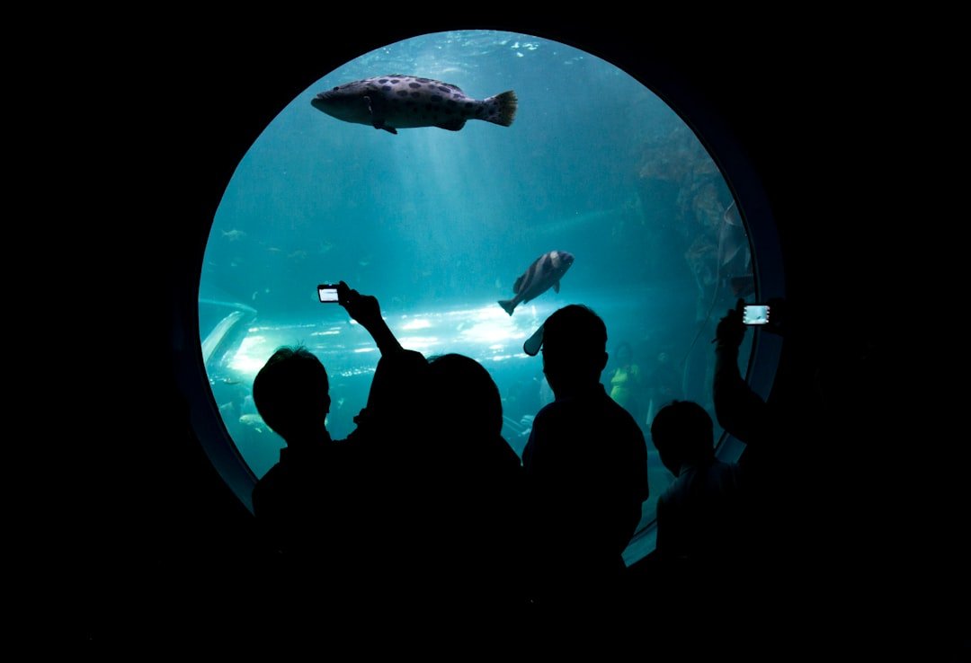 COEX水族館攻略2026圖片1｜攻略