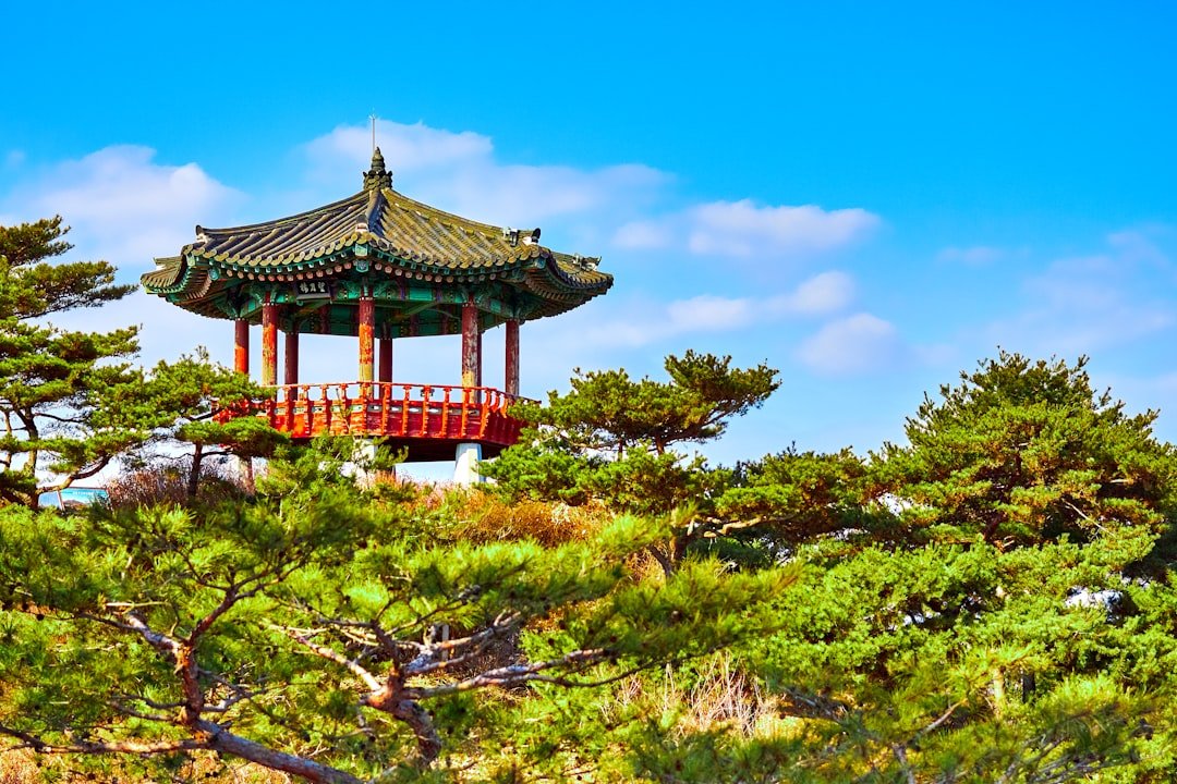 韓國旅遊海關規定2026圖片2｜攻略