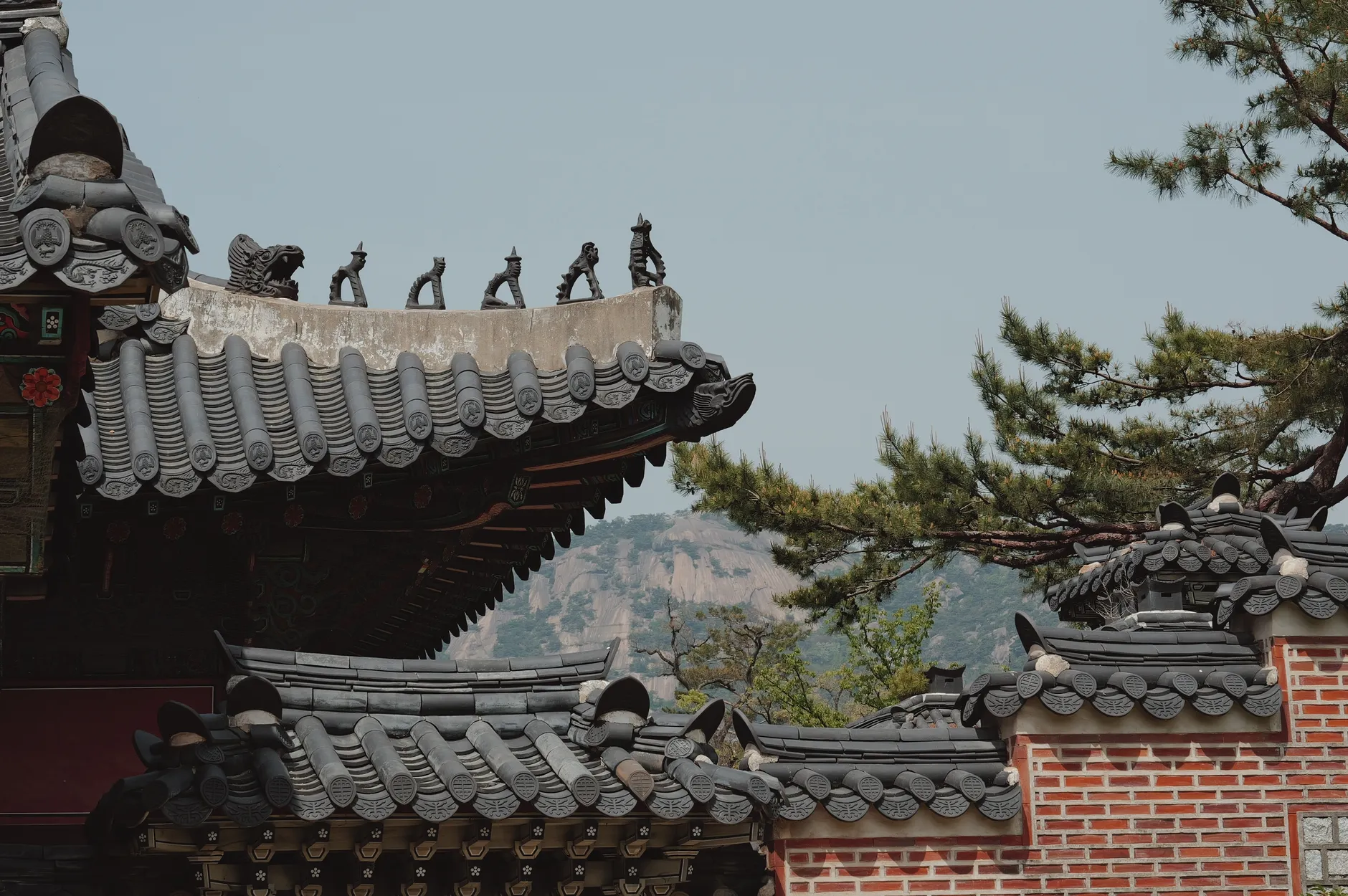 WOWPASS韓國旅遊卡2026攻略|換錢刷卡功能說明 WOWPASS韓國旅遊卡2026攻略|換錢刷卡功能說明