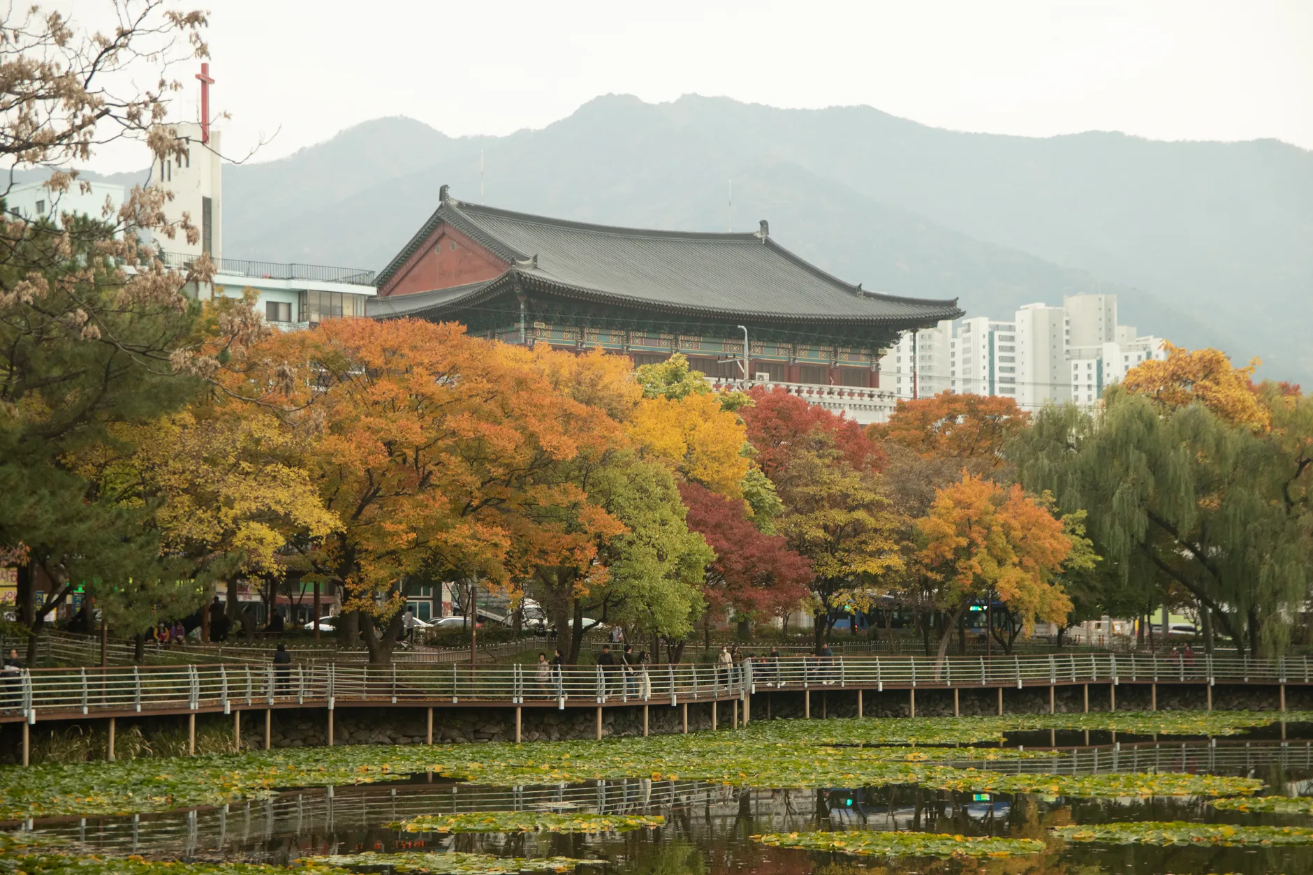 大邱旅遊攻略2026|景點美食住宿完整指南 大邱旅遊攻略2026|景點美食住宿完整指南