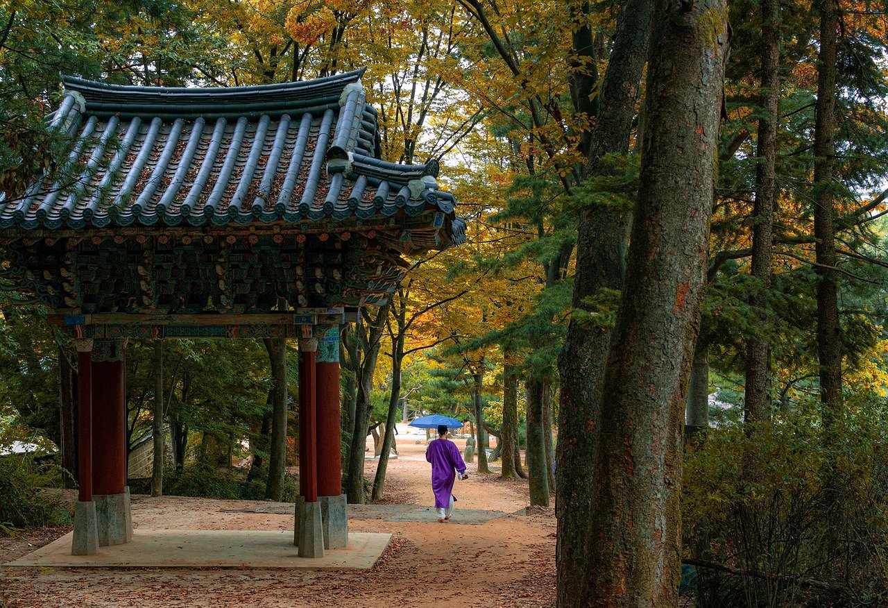 首爾南山公園攻略2026圖片3｜攻略