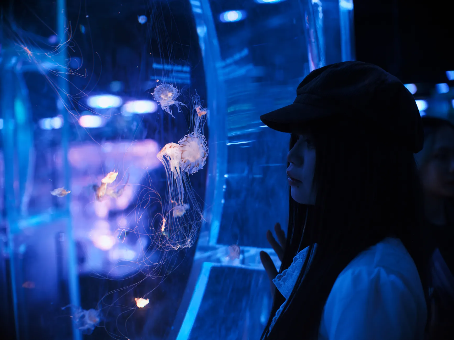 日本水族館推薦 20262026圖片1|攻略