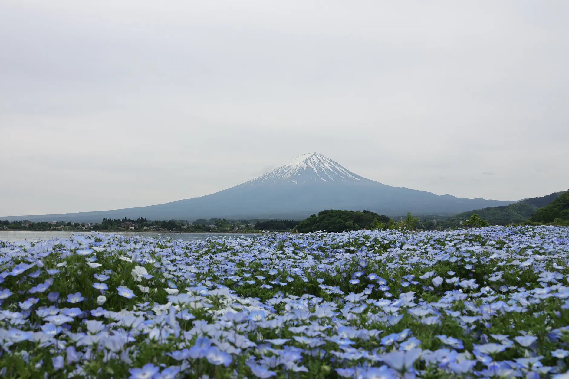 日本雪景推薦景點 20262026圖片1｜攻略