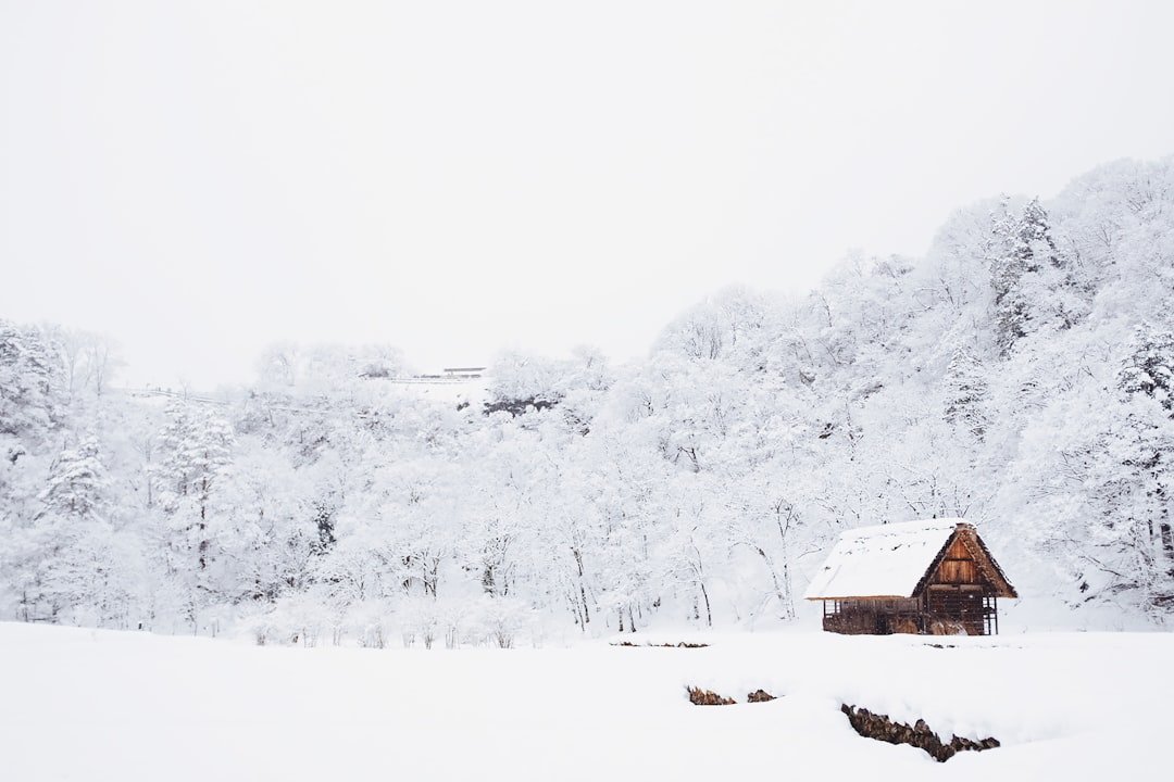 日本雪景推薦景點 20262026圖片2｜攻略