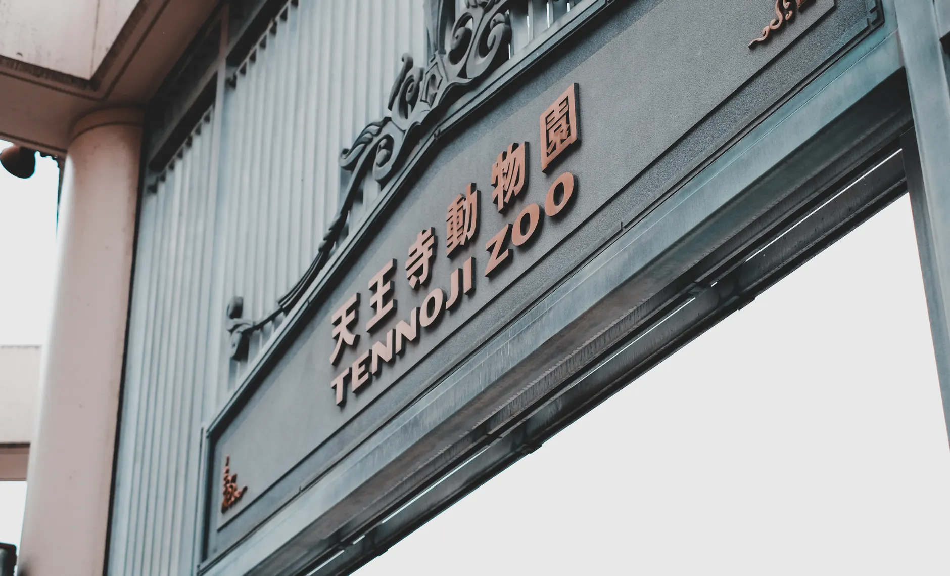 【內行揭密】大阪天王寺2026攻略|當地人才知道的隱藏玩法 【內行揭密】大阪天王寺2026攻略|當地人才知道的隱藏玩法