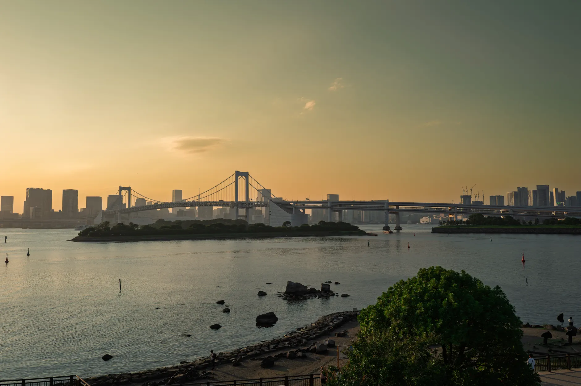 新手第一次去東京台場｜2026最完整的行前準備指南