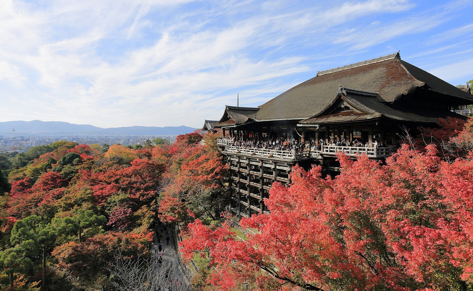 京都清水寺終極玩法解密｜2026最新趨勢與避雷指南