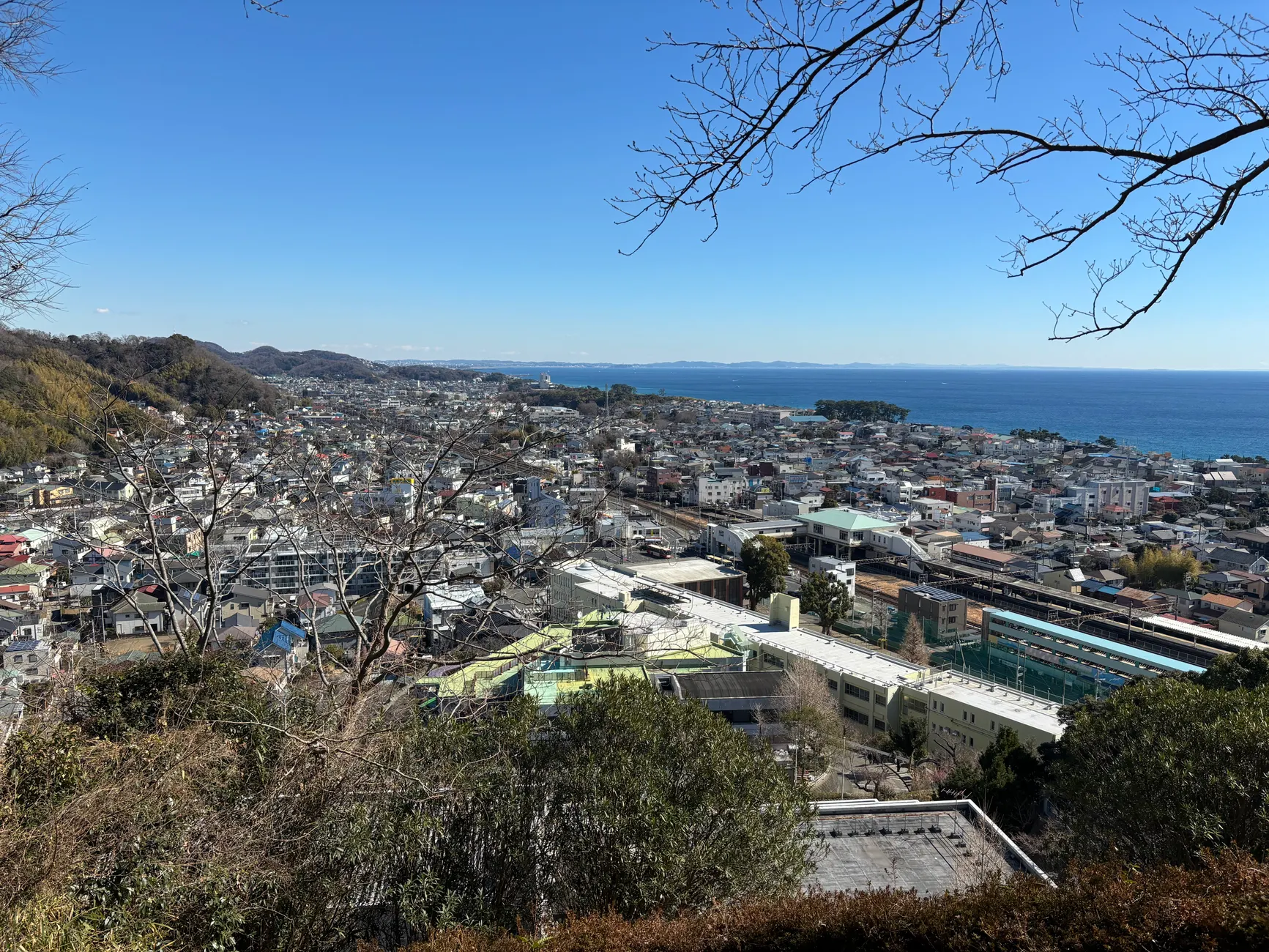 東京到鎌倉交通適合誰玩?2026族群分眾推薦完整指南 東京到鎌倉交通適合誰玩?2026族群分眾推薦完整指南