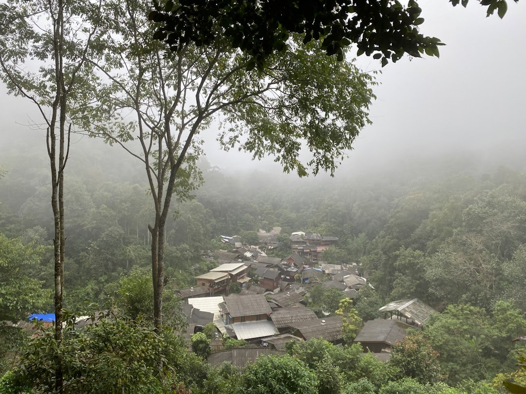 清邁叢林飛索推薦 20262026圖片2｜攻略